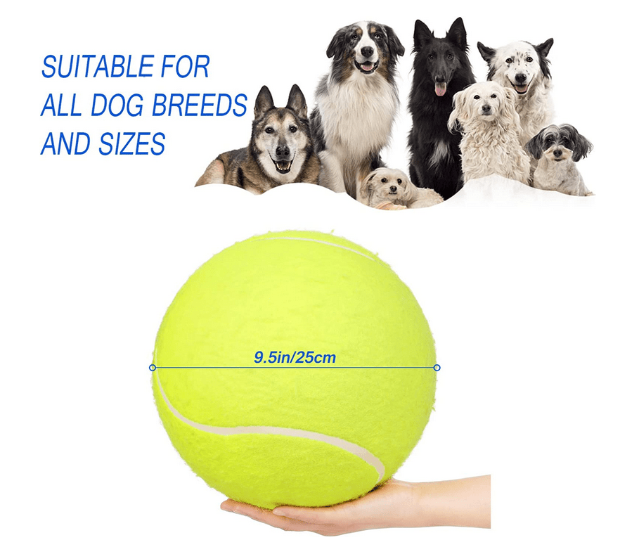 Huge tennis online ball for dogs