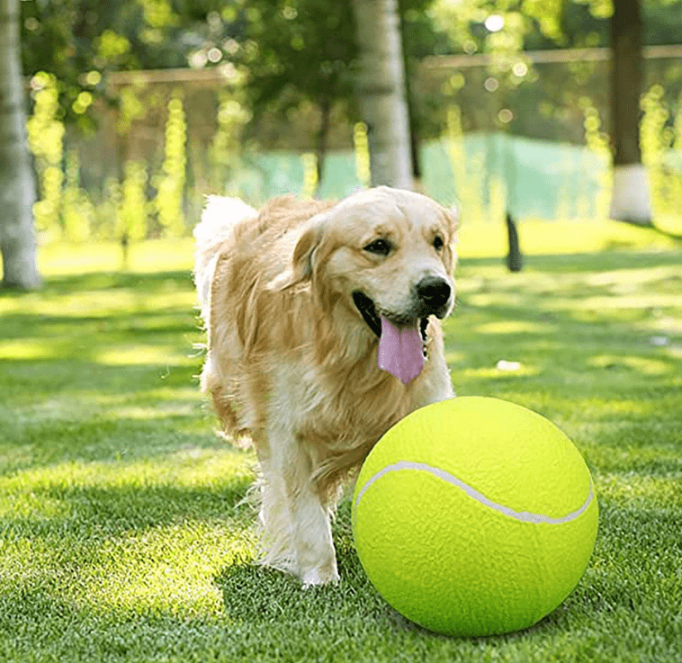 Oversized tennis ball for dogs best sale